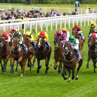 results for york races|Full Result 2.40 York .